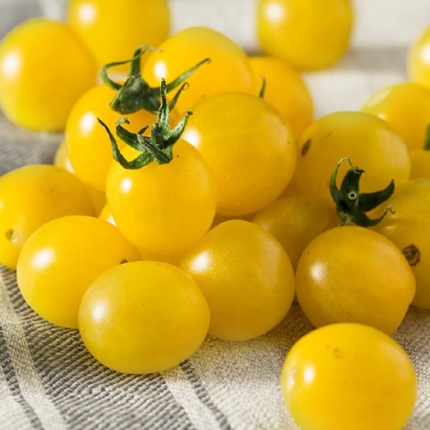 groothandel gele tomaten passata